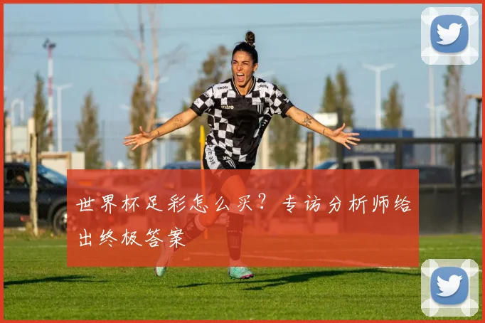 世界杯足彩怎么买？专访分析师给出终极答案