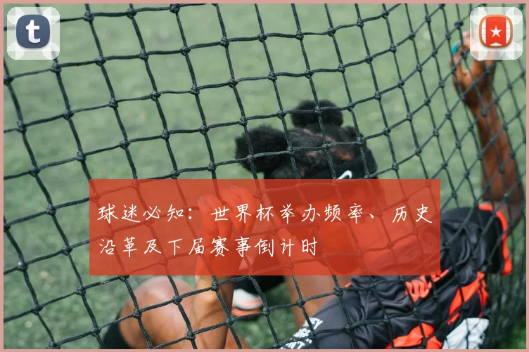 球迷必知：世界杯举办频率、历史沿革及下届赛事倒计时