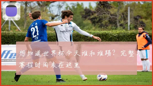 想知道世界杯今天谁和谁踢?完整赛程时间表在这里