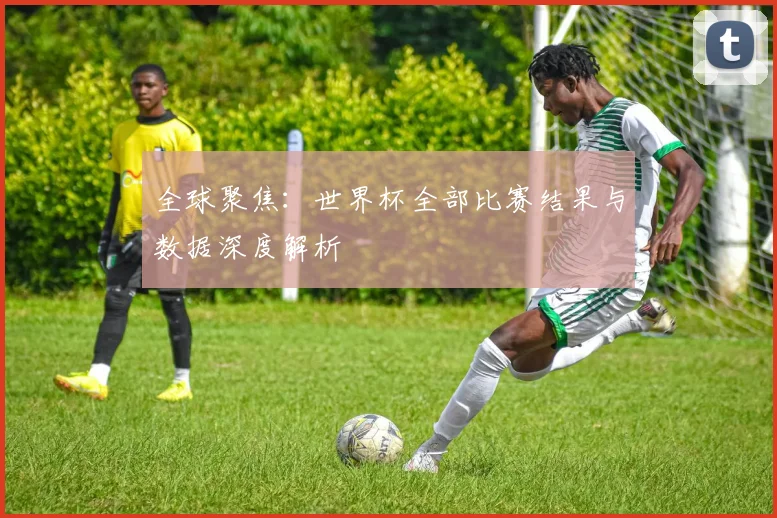 全球聚焦:世界杯全部比赛结果与数据深度解析