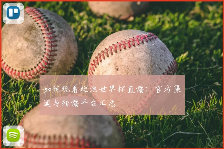 如何观看短池世界杯直播：官方渠道与转播平台汇总