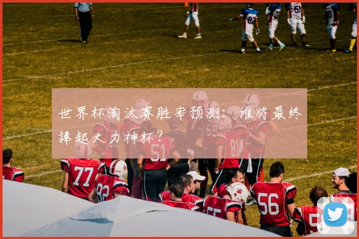 世界杯淘汰赛胜率预测:谁将最终捧起大力神杯?
