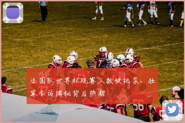 法国队世界杯观赛人数破纪录,独家专访揭秘背后热潮