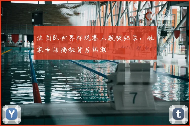 法国队世界杯观赛人数破纪录，独家专访揭秘背后热潮