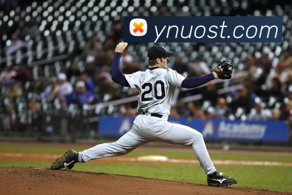 mksports在线登录入口发展历程